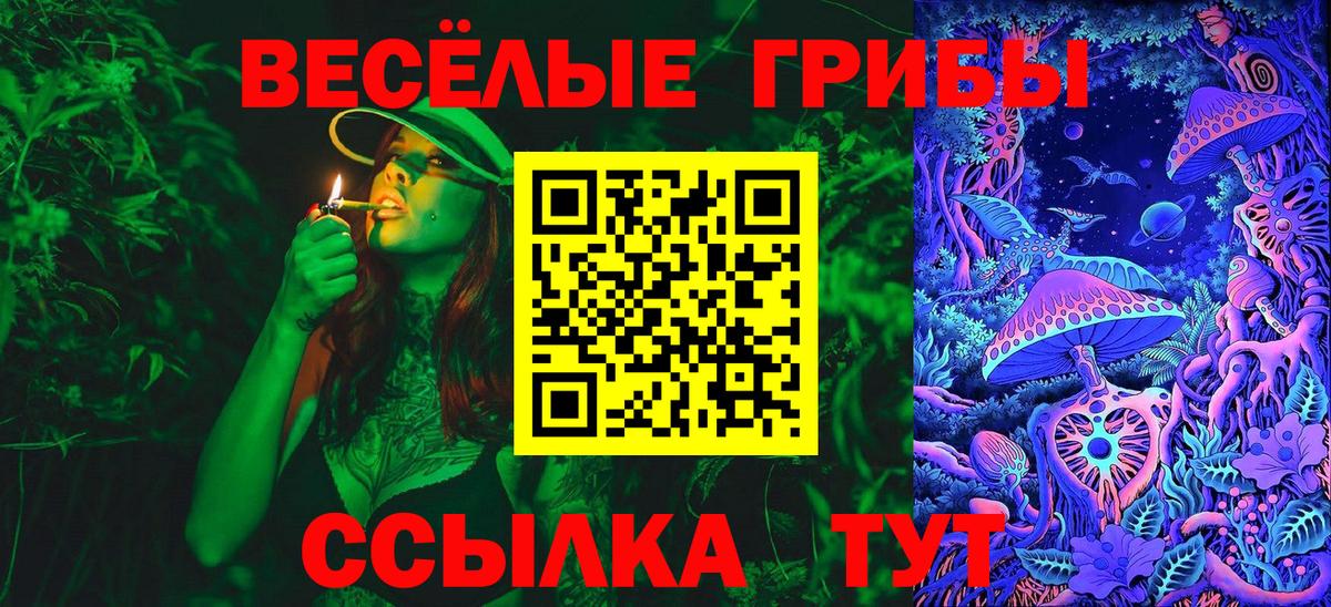 Галлюциногенные грибы Cubensis  Галлюциногенные грибы прущие грибы  Озёрск  Вход с VPN 
