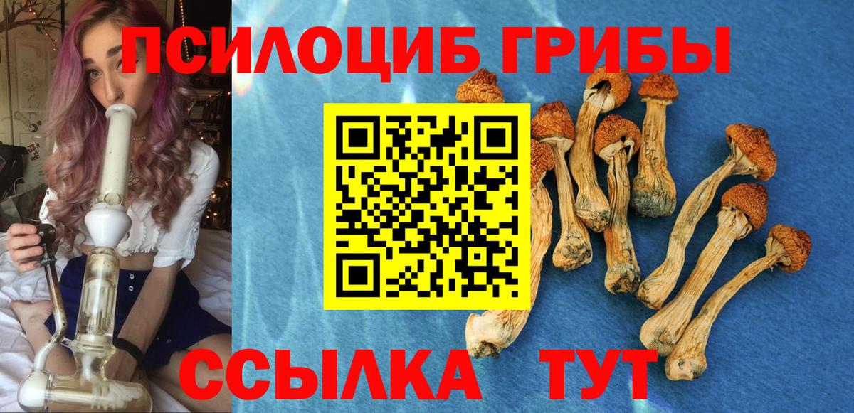 Галлюциногенные грибы прущие грибы Озёрск